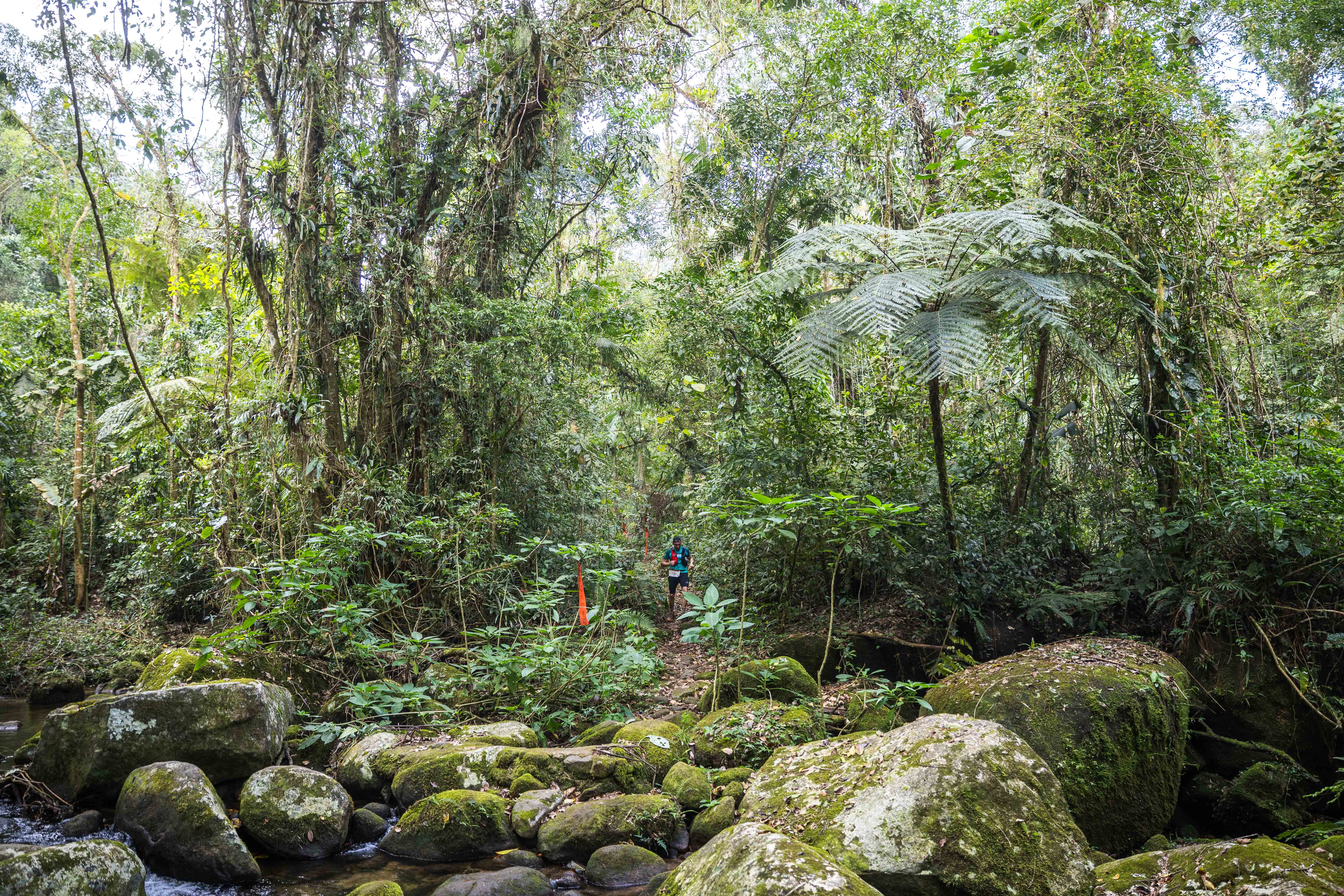 A trail runner on a mountain ridge in Serra dos Órgãos, Brazil, with dramatic clouds in the background.